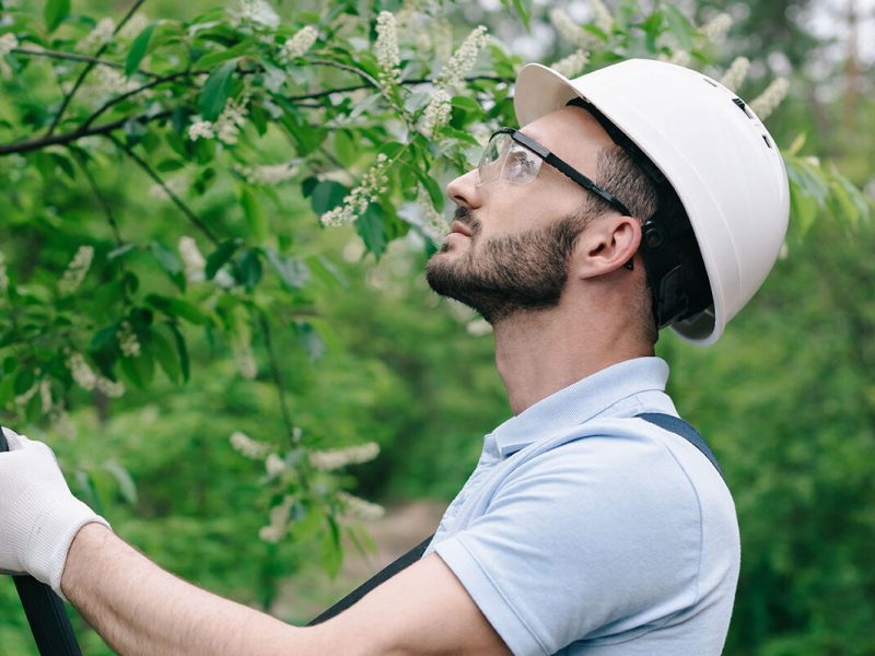 attentive-gardener-in-helmet-and-protective-glasse-2023-11-27-05-35-42-utc